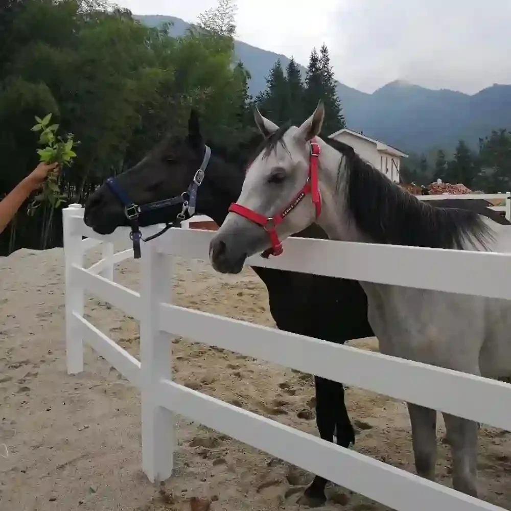 PVC Horse Fence