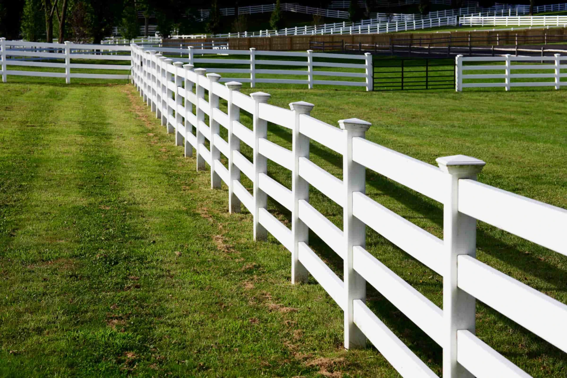 Best Materials for Livestock Fence